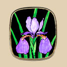 #120 Iris on Black