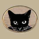 Eye Cat Pin