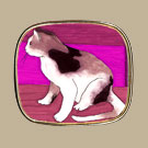 Cat on Pink Pin