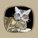 Bubblehead Cat Pin